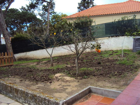 Foto 1 da Horta biológica do Jardim de Infância do Banzão - antes de ser cultivada